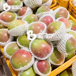 Bếp nhà BoBin Xoài Úc