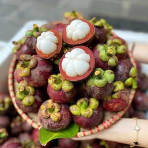 Măng cụt