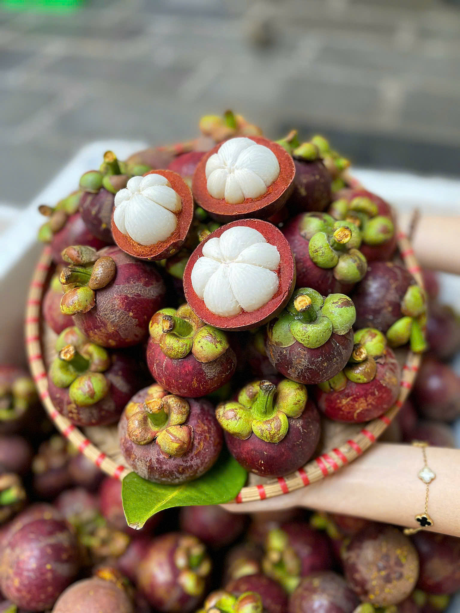 Măng cụt